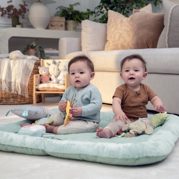 INGENUITY™CALM SPRINGS PLUSH ACTIVITY GYM - CHIC BOUTIQUE - Premium for Kids in Qatar | Toysaro.com