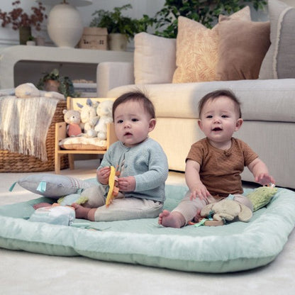 INGENUITY™CALM SPRINGS PLUSH ACTIVITY GYM - CHIC BOUTIQUE - Premium for Kids in Qatar | Toysaro.com