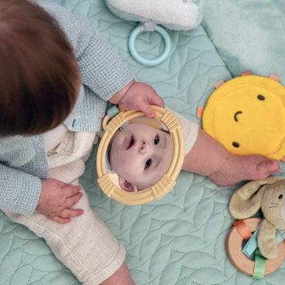 INGENUITY™CALM SPRINGS PLUSH ACTIVITY GYM - CHIC BOUTIQUE - Premium for Kids in Qatar | Toysaro.com
