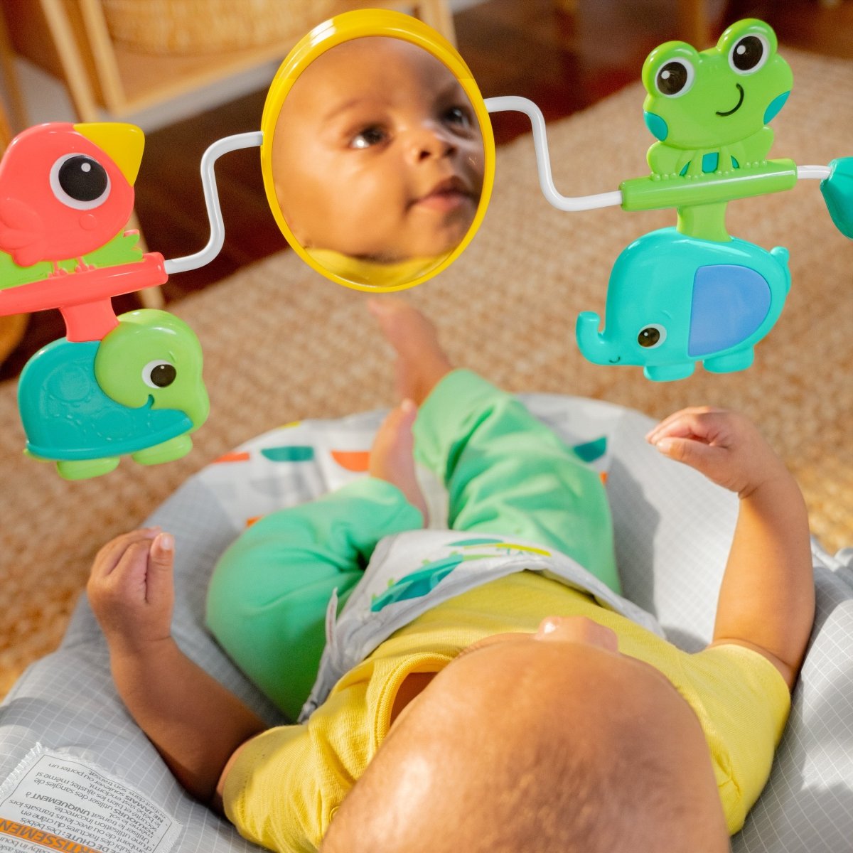 PLAYFUL PARADISE VIBRATING BOUNCER - Premium for Kids in Qatar | Toysaro.com