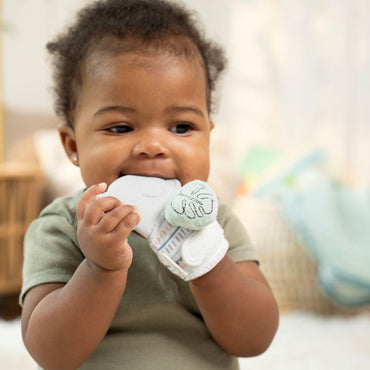 INGENUITY™ VAN TEETHING MITT & RATTLE - Premium for Kids in Qatar | Toysaro.com