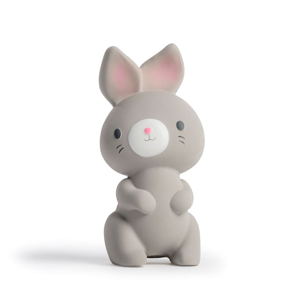 INGENUITY™ SYLVI NATURAL RUBBER TEETHER - Premium for Kids in Qatar | Toysaro.com