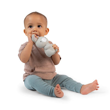 INGENUITY™ SYLVI NATURAL RUBBER TEETHER - Premium for Kids in Qatar | Toysaro.com