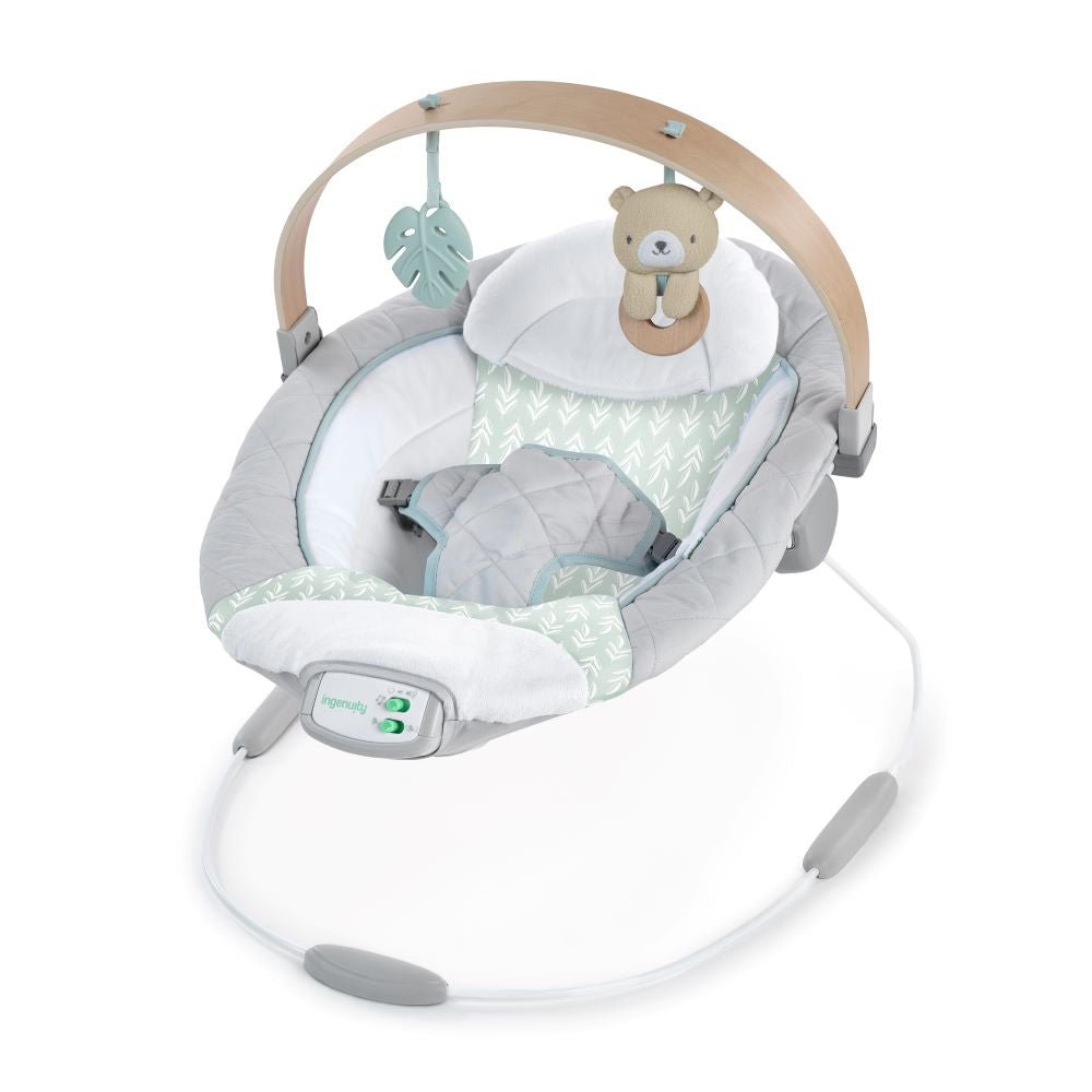 INGENUITY™ COZY SPOT SOOTHING BOUNCER - Premium for Kids in Qatar | Toysaro.com