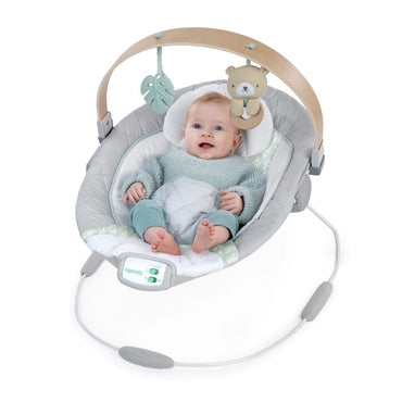 INGENUITY™ COZY SPOT SOOTHING BOUNCER - Premium for Kids in Qatar | Toysaro.com