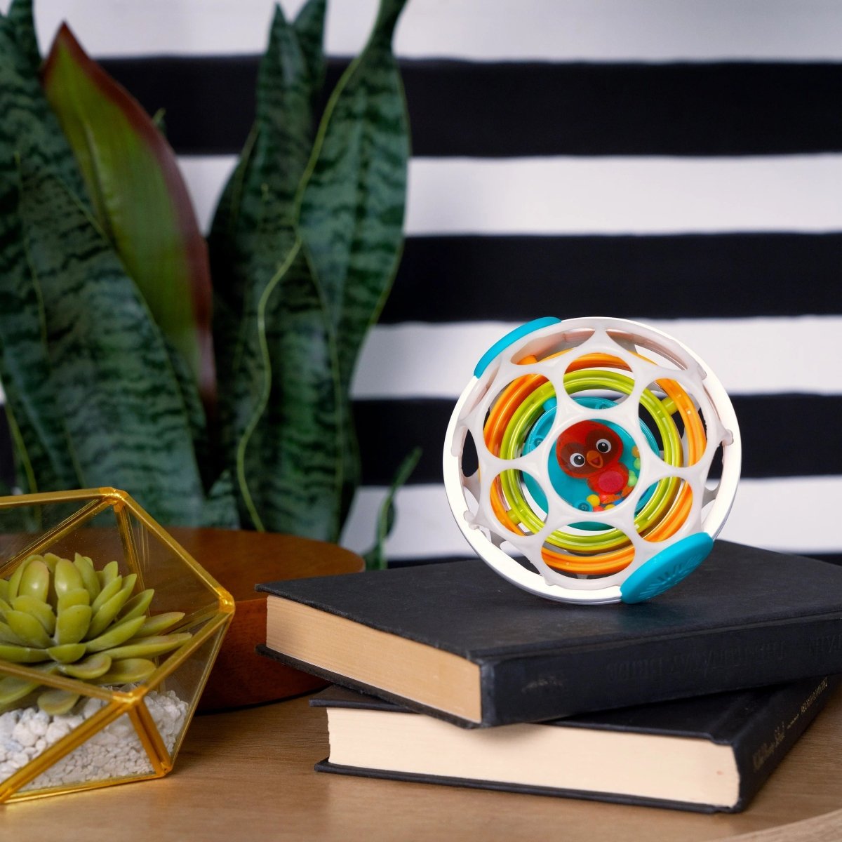 BABY EINSTEIN™GRIP & SPIN OBALL RATTLE TOY - Premium for Kids in Qatar | Toysaro.com