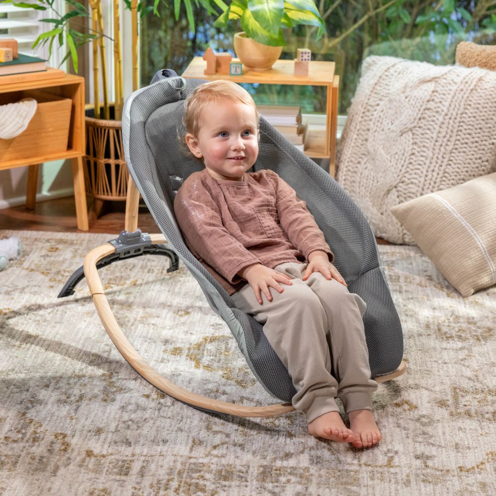 INGENUITY™EVERY SEASON ROCKING SEAT - WESLEY - Premium for Kids in Qatar | Toysaro.com