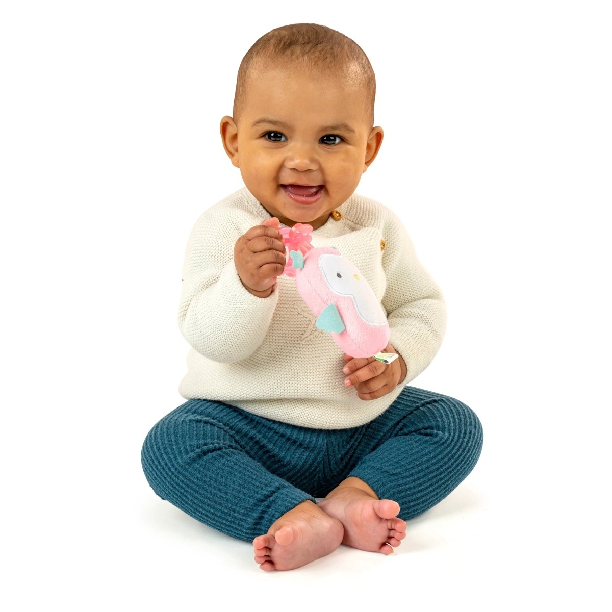INGENUITY™ COZY COO - NALLY - Premium for Kids in Qatar | Toysaro.com