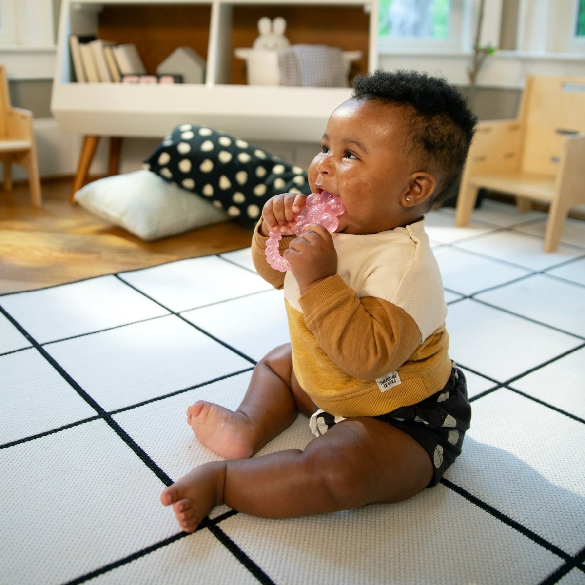 INGENUITY™COOL BITE WATER TEETHER - DAISY - Premium for Kids in Qatar | Toysaro.com