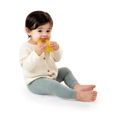 INGENUITY™COOL BITE WATER TEETHER - BOMBY - Premium for Kids in Qatar | Toysaro.com