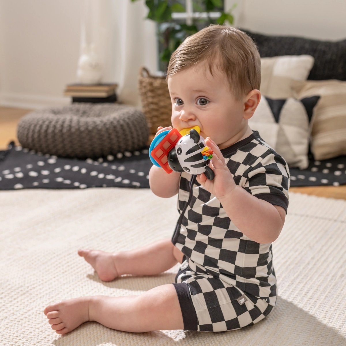 BABY EINSTEIN™ SHAKE - A - SHAPE ZEN TEETHER TOY - Premium for Kids in Qatar | Toysaro.com
