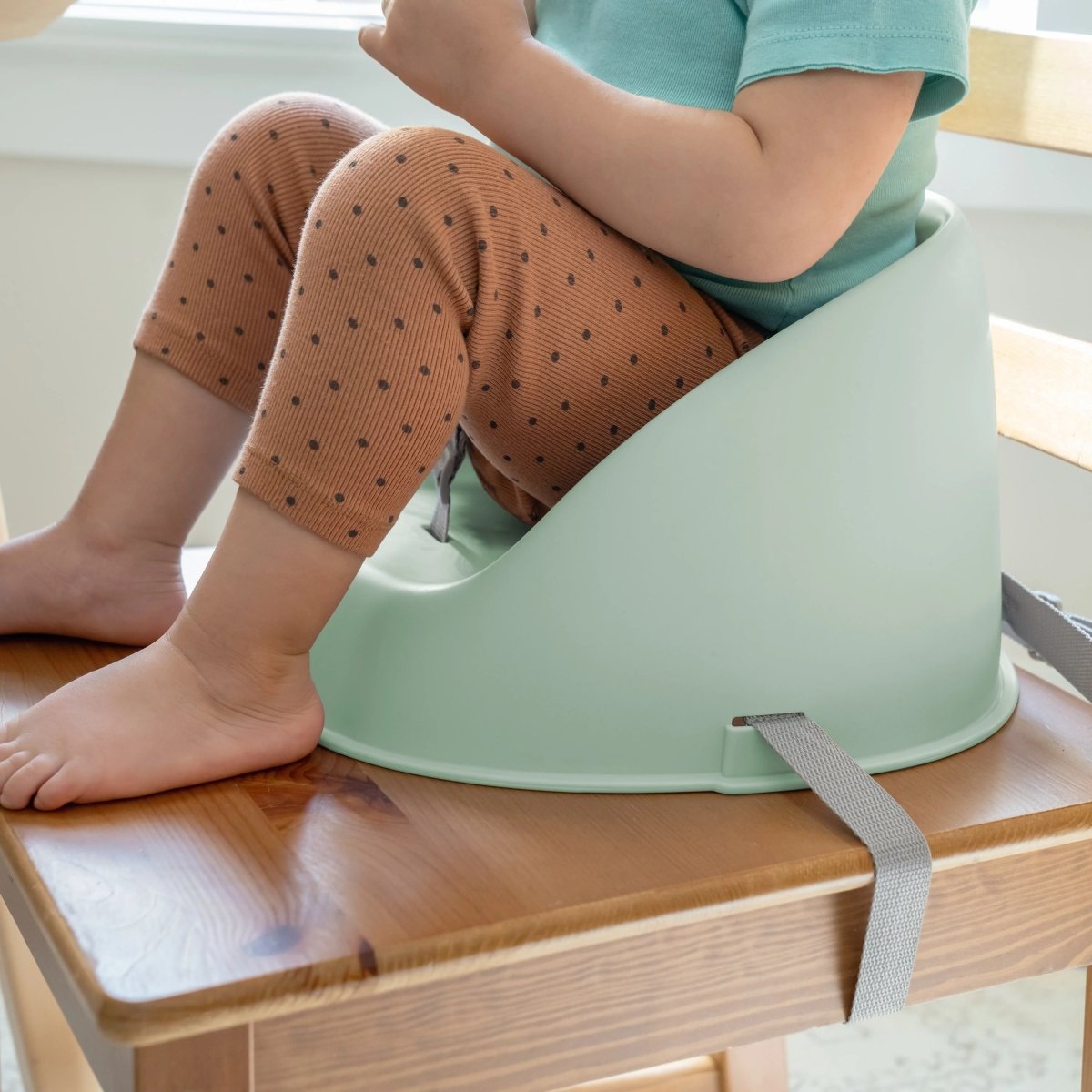 INGENUITY™MY SPOT BOOSTER SEAT - GREEN - Premium for Kids in Qatar | Toysaro.com