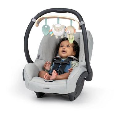 INGENUITY™ WONDER & WOOD CARRIER TOYBAR - Premium for Kids in Qatar | Toysaro.com