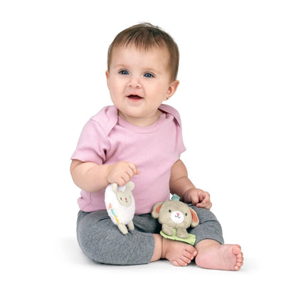 INGENUITY™ WONDER & WOOD CARRIER TOYBAR - Premium for Kids in Qatar | Toysaro.com