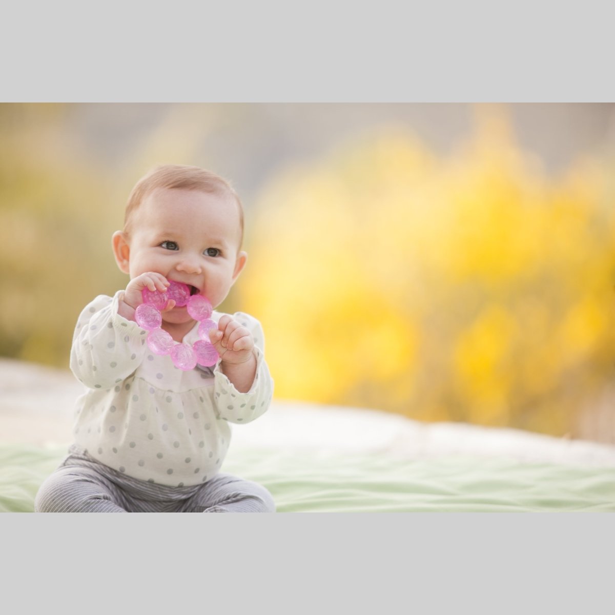 WATER TEETHER - GRAPE FRUIT INFANTINO - Premium for Kids in Qatar | Toysaro.com