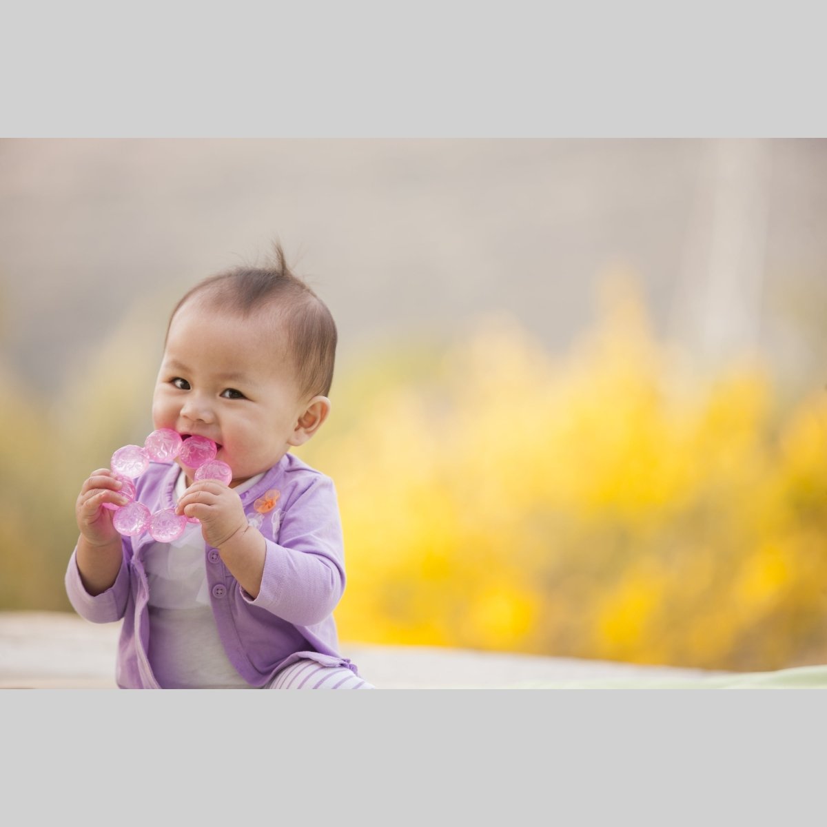 WATER TEETHER - GRAPE FRUIT INFANTINO - Premium for Kids in Qatar | Toysaro.com