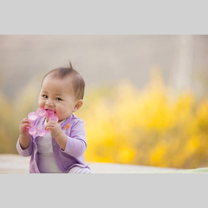 WATER TEETHER - GRAPE FRUIT INFANTINO - Premium for Kids in Qatar | Toysaro.com