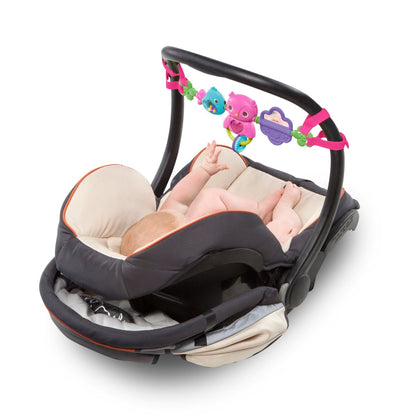 BRIGHT STARTS™ BUSY BIRDIES CARRIER TOY BAR TAKE - ALONG TOY - Premium for Kids in Qatar | Toysaro.com