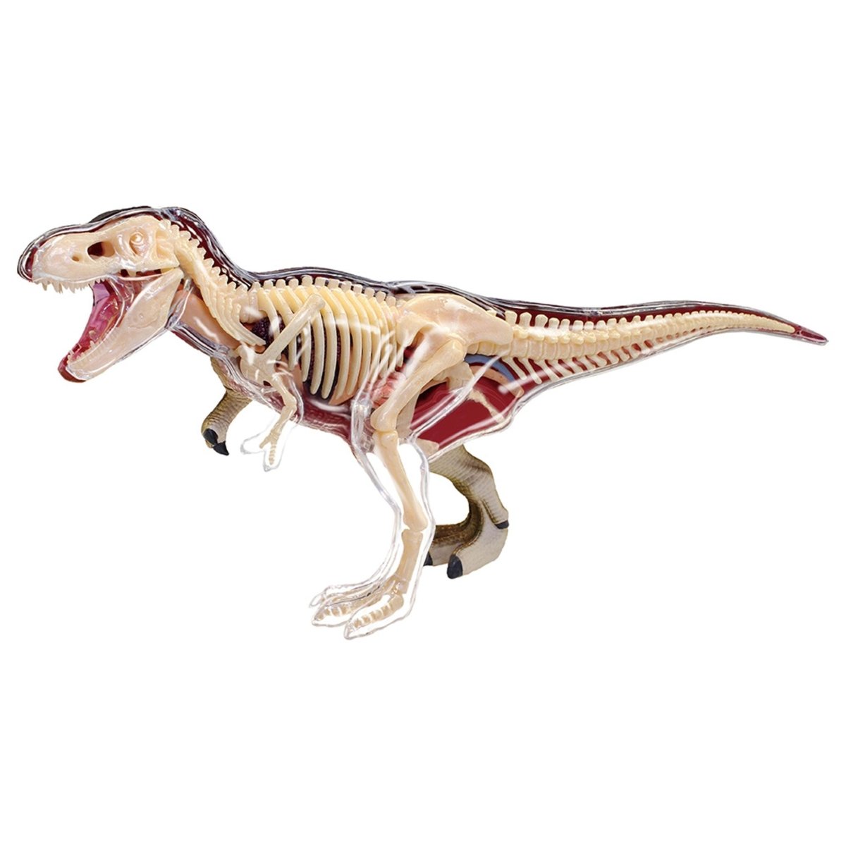 4D VISION ANIMAL - TREX - Premium for Kids in Qatar | Toysaro.com