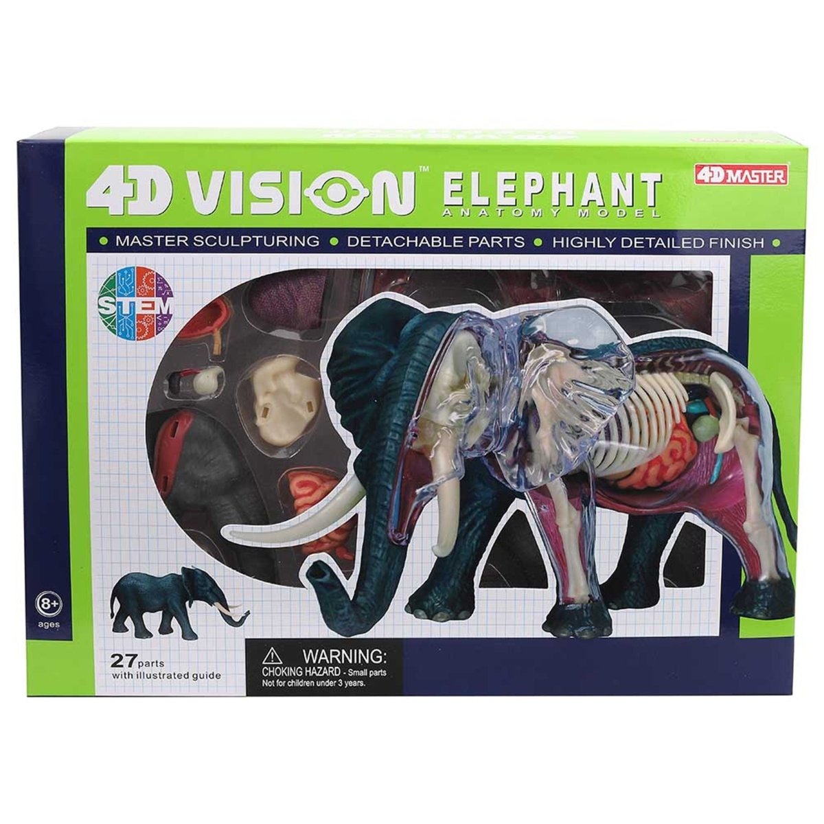 4D ELEPHANT ANATOMY - Premium for Kids in Qatar | Toysaro.com