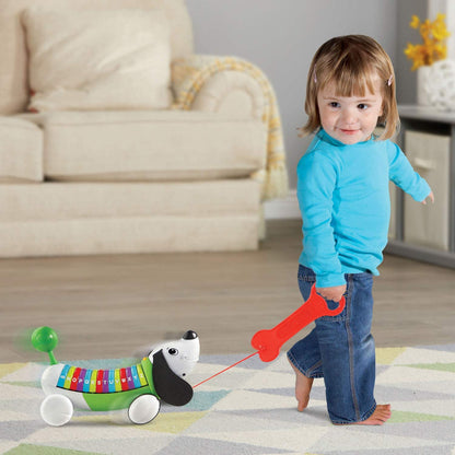 ALPHAPUP (GREEN) LEAPFROG - Premium for Kids in Qatar | Toysaro.com