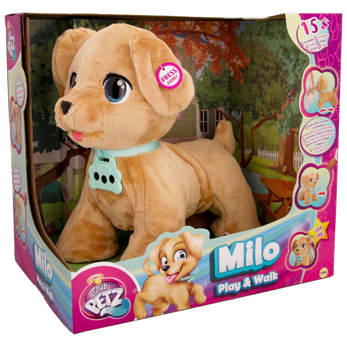 MILO PLAY AND WALK