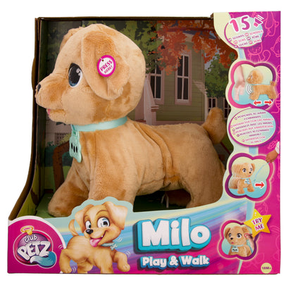 MILO PLAY AND WALK
