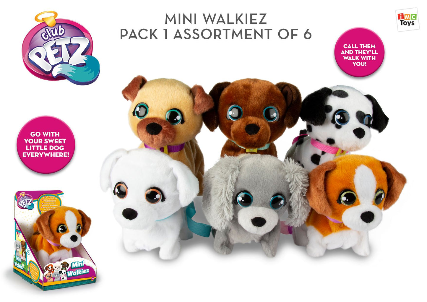 MINI WALKIEZ 6 ASST