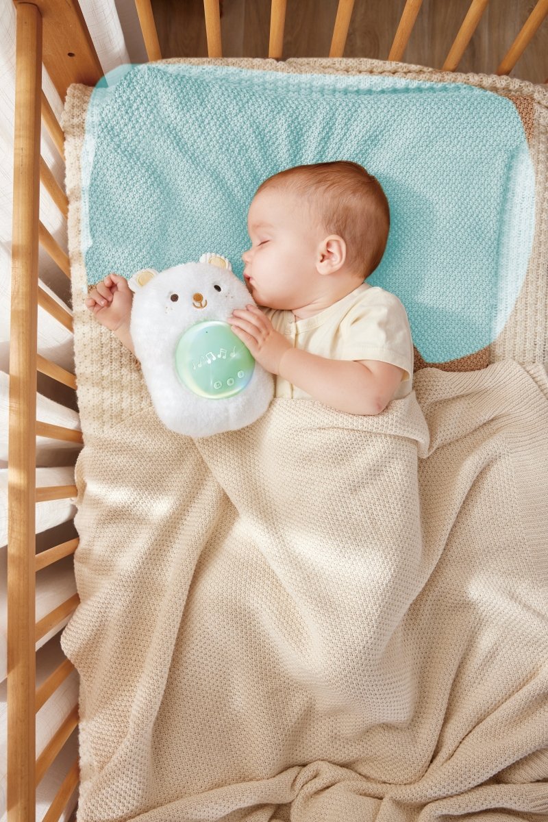 Hape My Musical Pal - Huggy Bobo - Premium for Kids in Qatar | Toysaro.com