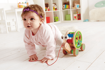 Hape Walk - A - Long Snail Wooden Push and Pull Toy - Premium for Kids in Qatar | Toysaro.com