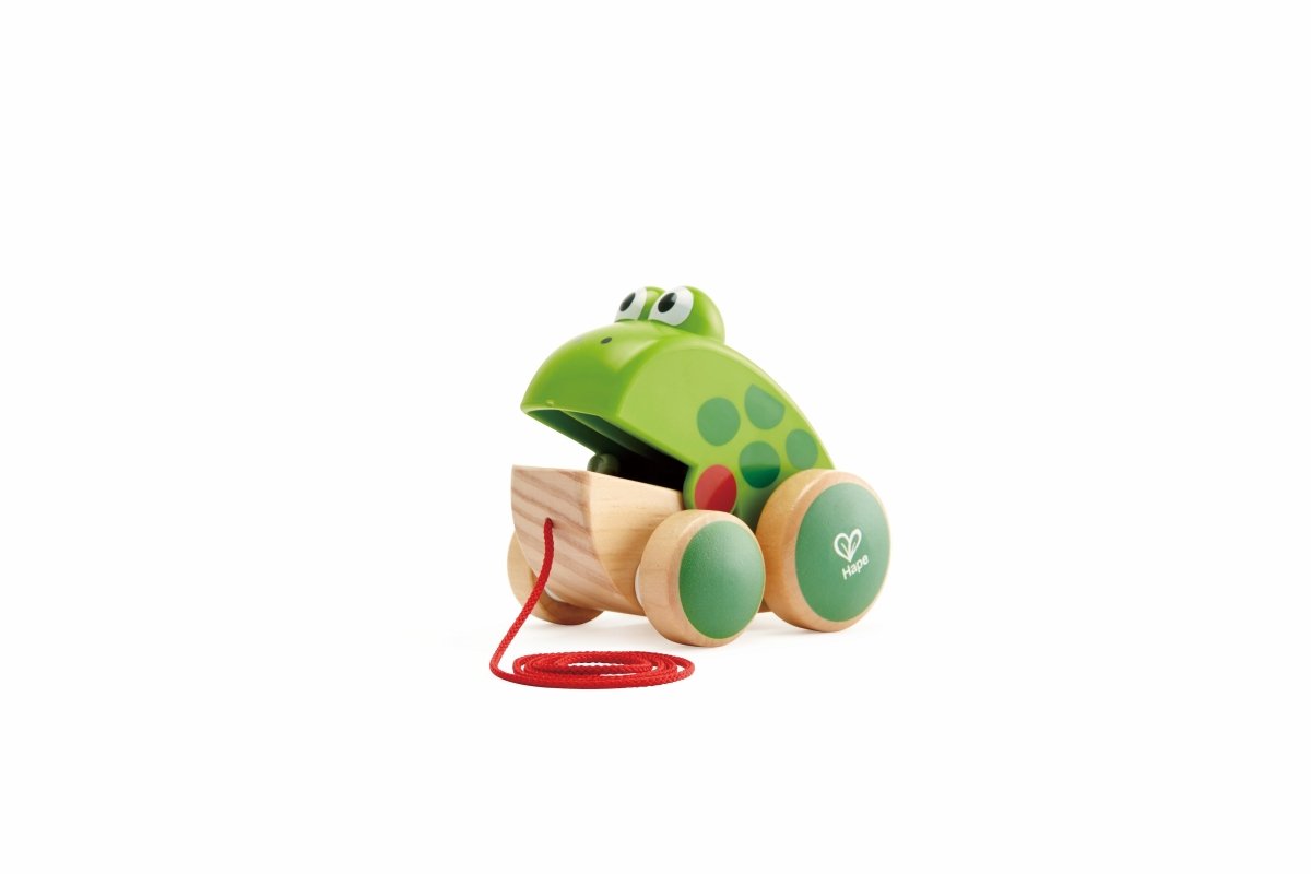 Hape Frog - Themed Push & Pull Along Toy - Premium for Kids in Qatar | Toysaro.com