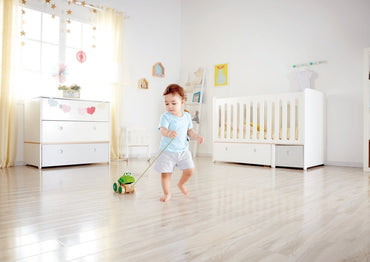 Hape Frog - Themed Push & Pull Along Toy - Premium for Kids in Qatar | Toysaro.com