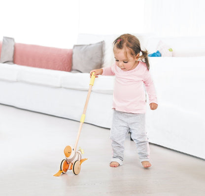 Hape Wooden Flappy Bird Push & Pull Toy - Premium for Kids in Qatar | Toysaro.com