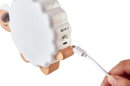 Hape Sleepy Sheepy Musical Nightlight - Premium for Kids in Qatar | Toysaro.com