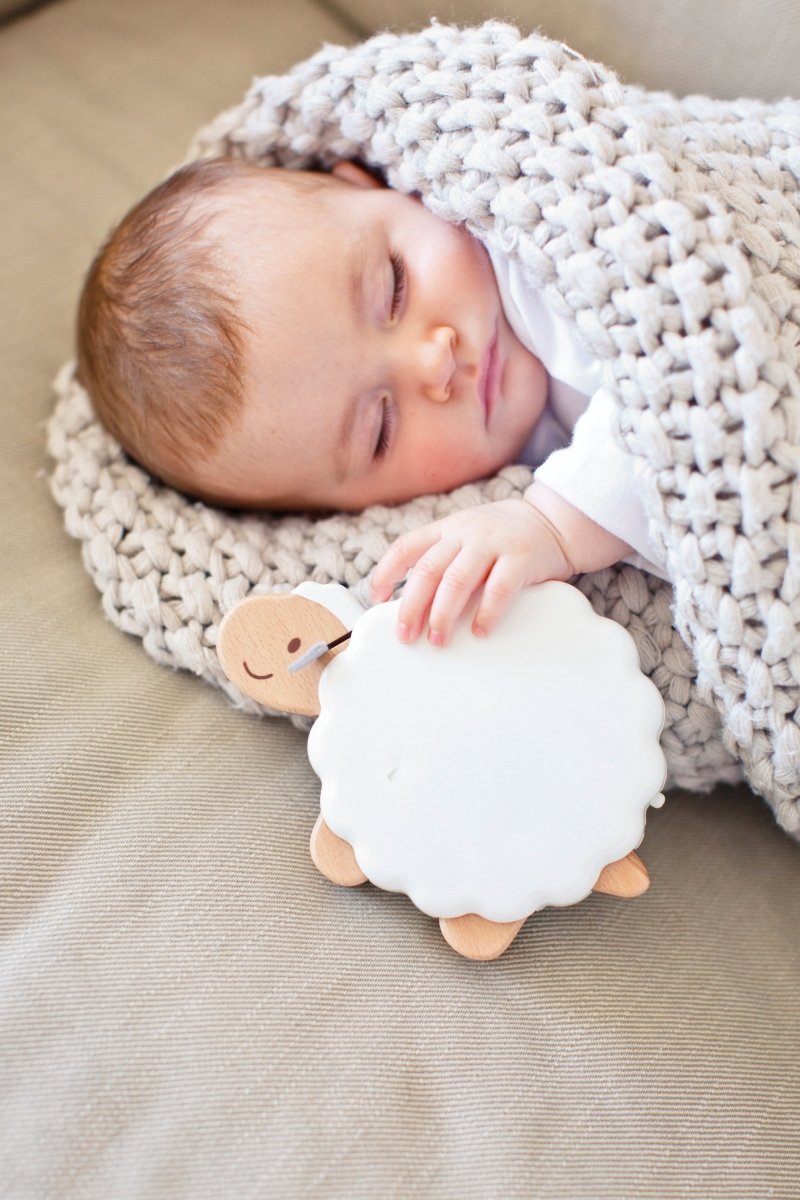 Hape Sleepy Sheepy Musical Nightlight - Premium for Kids in Qatar | Toysaro.com