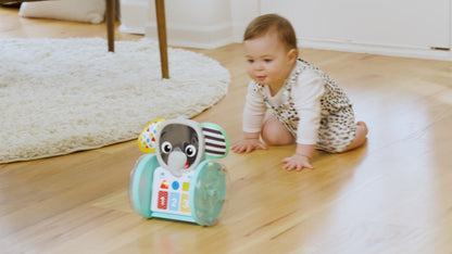 Baby Einstein Chase & Tap Earl™ Interactive Crawling Toy