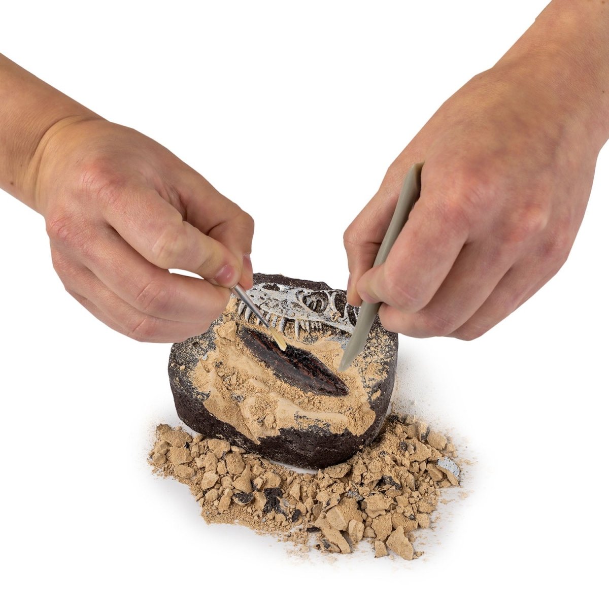 NG DINO FOSSIL DIG KIT - Premium for Kids in Qatar | Toysaro.com