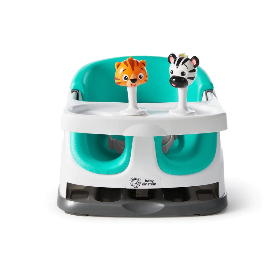 BABY EINSTEIN Fun Seat - Premium for Kids in Qatar | Toysaro.com