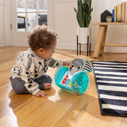 Baby Einstein Chase & Tap Earl™ Interactive Crawling Toy - Premium for Kids in Qatar | Toysaro.com