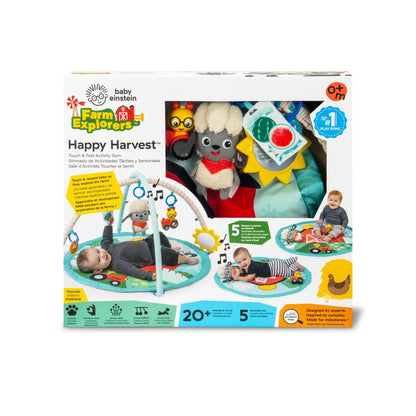 Baby Einstein™ Happy Harvest™ Touch & Feel Activity Gym - Premium for Kids in Qatar | Toysaro.com