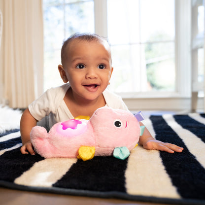 Baby Einstein™ Sea Dreams Seahorse™ Plush Soother Pink - Premium for Kids in Qatar | Toysaro.com