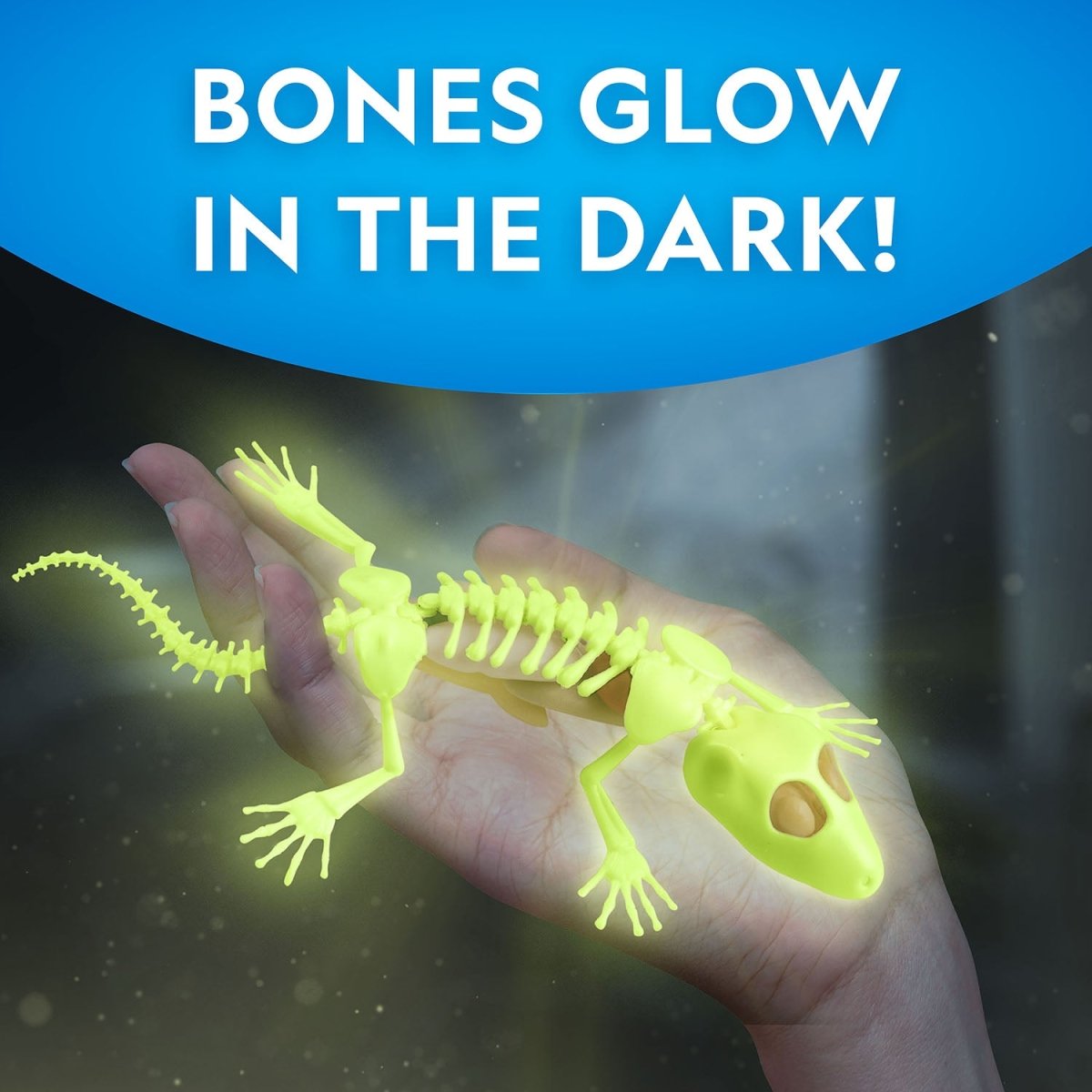 NG GLOW - IN - THE - DARK GECKO DISSECTION LAB - Premium for Kids in Qatar | Toysaro.com