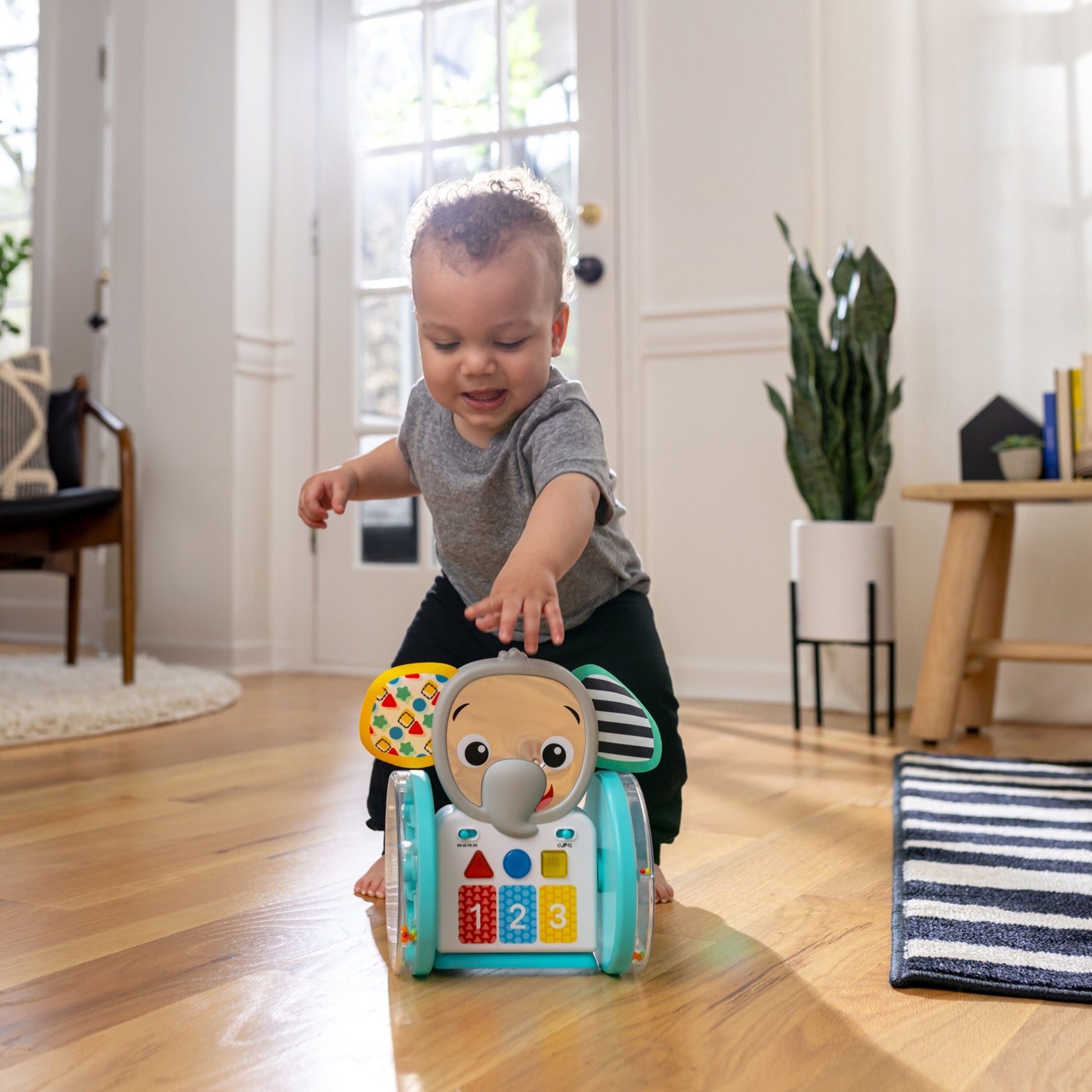 Baby Einstein Chase & Tap Earl™ Interactive Crawling Toy - Premium for Kids in Qatar | Toysaro.com