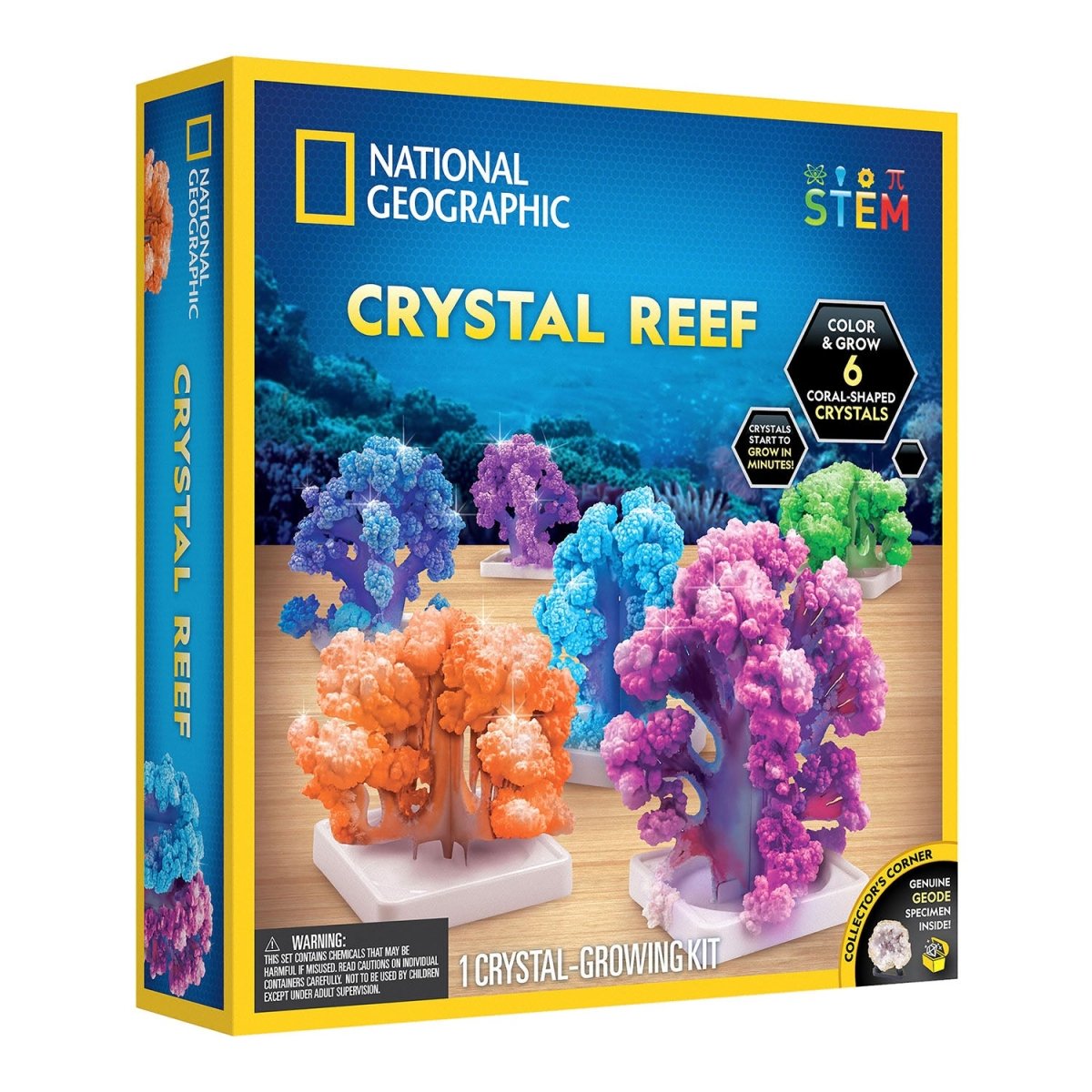 NG CRYSTAL REEF CORAL GROWING LAB - Premium for Kids in Qatar | Toysaro.com