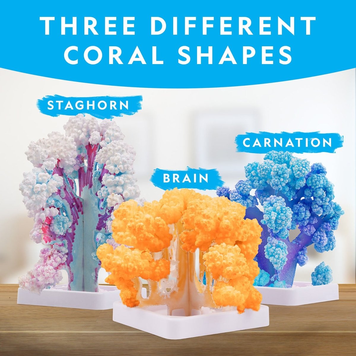 NG CRYSTAL REEF CORAL GROWING LAB - Premium for Kids in Qatar | Toysaro.com