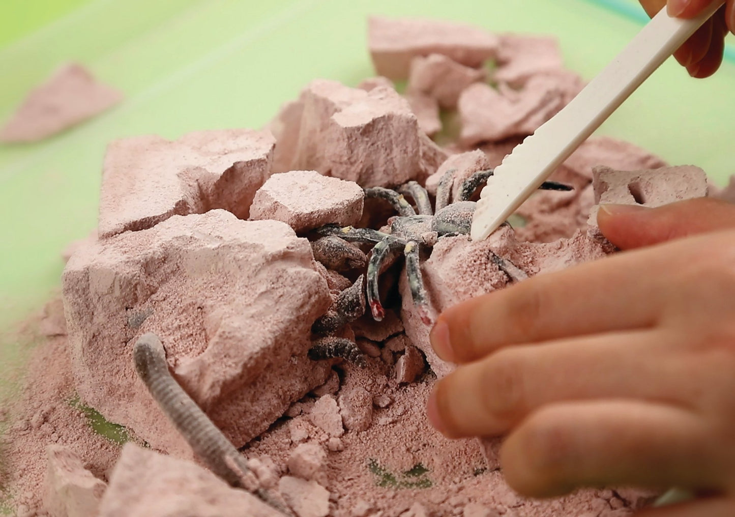 Creepy Crawly Digging Kit - Premium for Kids in Qatar | Toysaro.com
