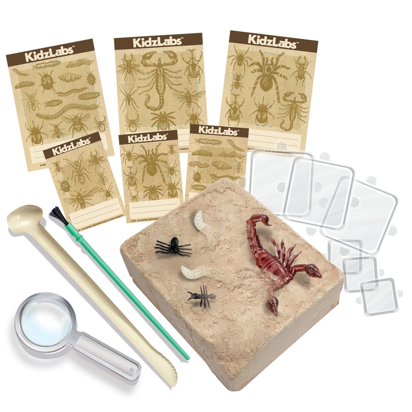 Creepy Crawly Digging Kit - Premium for Kids in Qatar | Toysaro.com