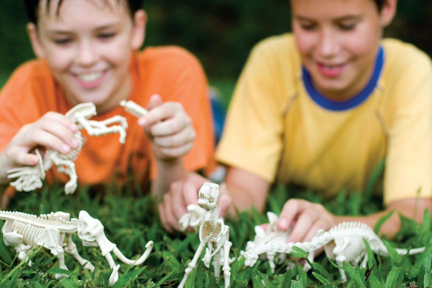 4M Kidz Labs / Velociraptor Skeleton Excavation - Premium for Kids in Qatar | Toysaro.com