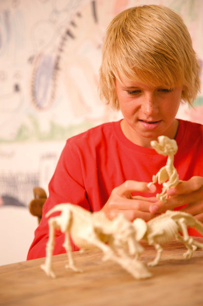 4M Kidz Labs / Triceratops Skeleton Excavation - Premium for Kids in Qatar | Toysaro.com