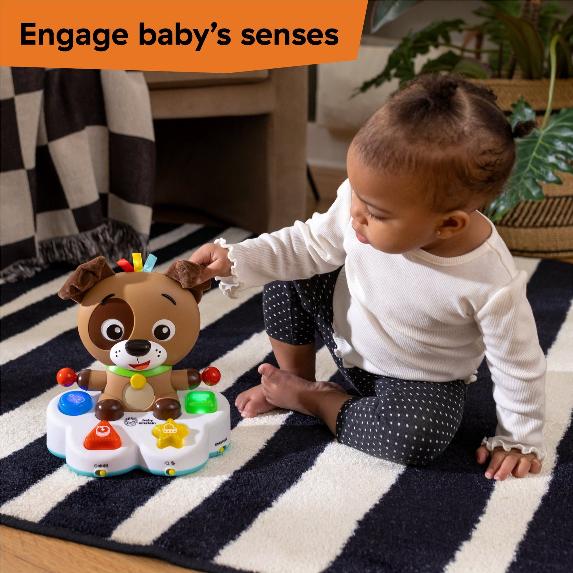 Baby Einstein Drum & Learn Dean™ Musical Learning Toy - Premium for Kids in Qatar | Toysaro.com